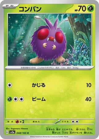 Bluzuk