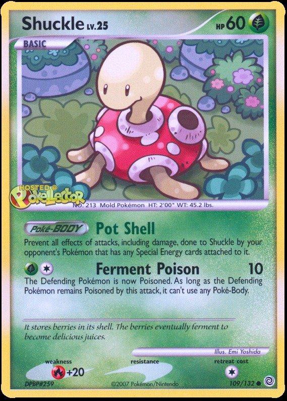 Pottrott