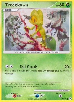 Geckarbor