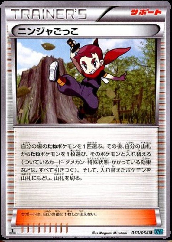 Ninjajunge