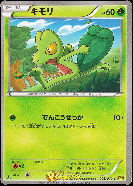 Geckarbor