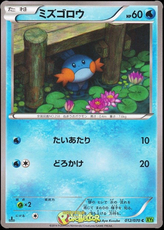 Hydropi