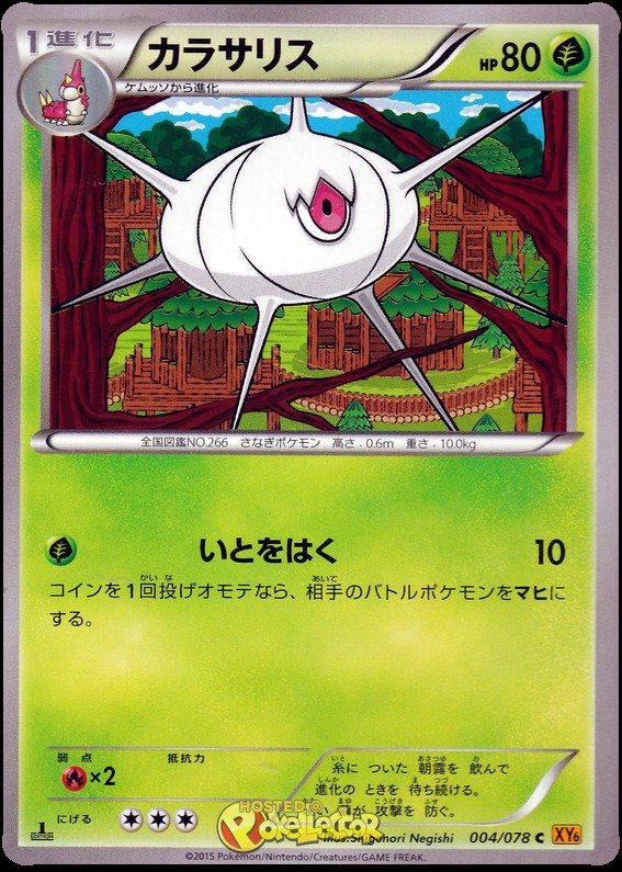 Schaloko