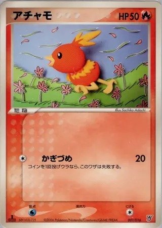Torchic